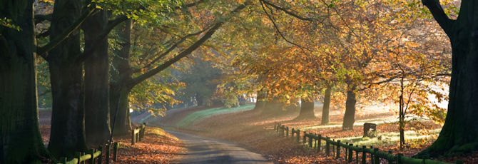 8 Things To Do in Kent This Autumn
